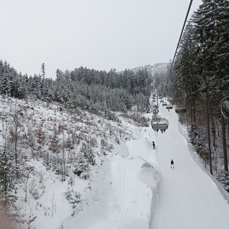 Kurz sjezdové lyžování a snowboardingu