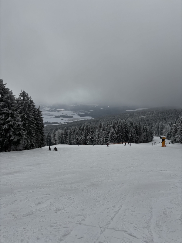 Kurz sjezdové lyžování a snowboardingu
